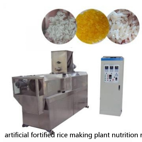 artificial fortified rice making plant nutrition rice making machine extruder production line