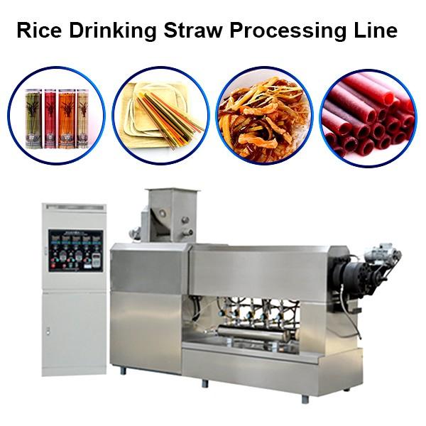 2019 Hot Sale Rice Straw Extruder with Ce & ISO