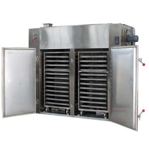Commercial Dehydration Machines for Food