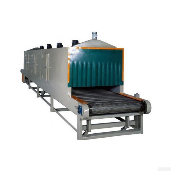 Industrial Conveyor Mesh Belt Dryer with Multi Layers