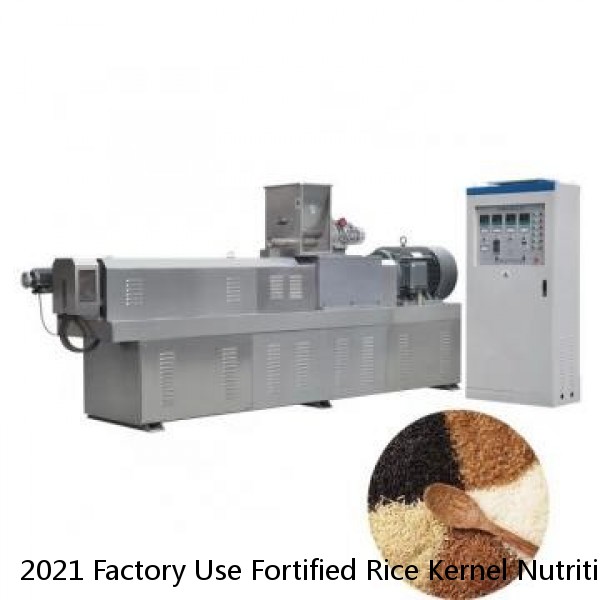 2021 Factory Use Fortified Rice Kernel Nutrition Rice Extruder Producing Machine Line